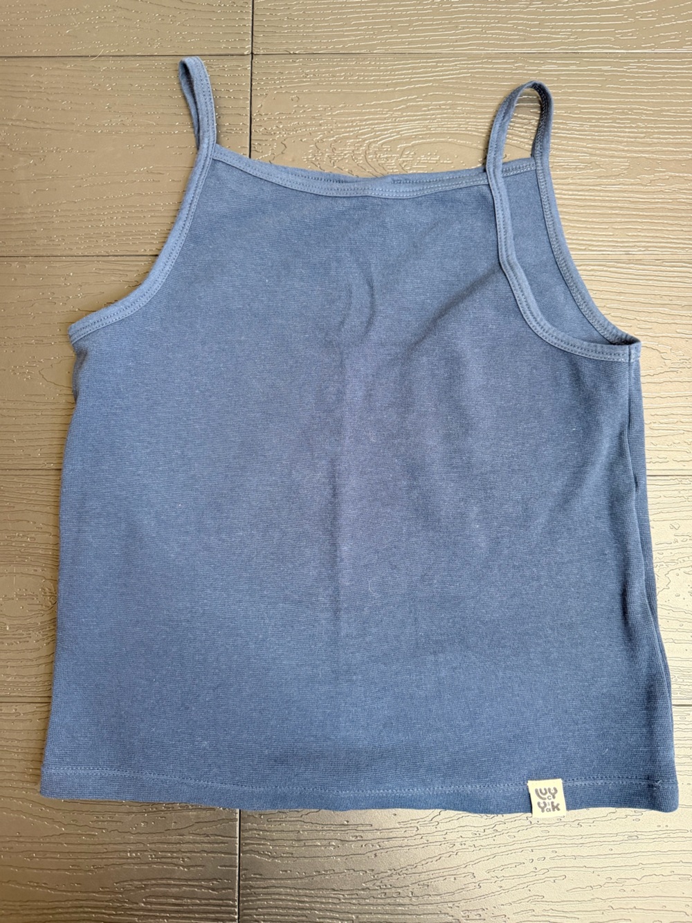 Lucy & Yak Blue Crop Tank Top